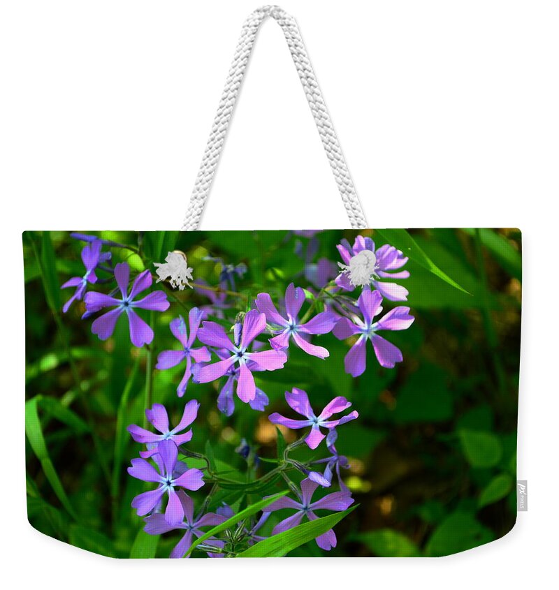 Phlox Weekender Tote Bag featuring the photograph Purple Phlox in the Woods by Stacie Siemsen