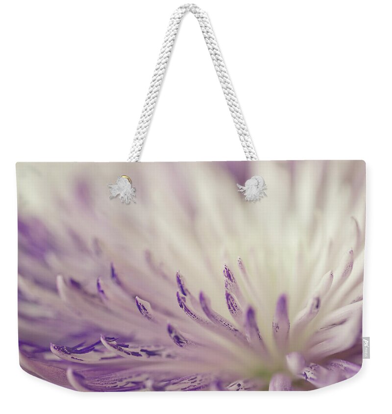 Mums Weekender Tote Bag featuring the photograph Purple Spider Mum Macro by Sandra Foster