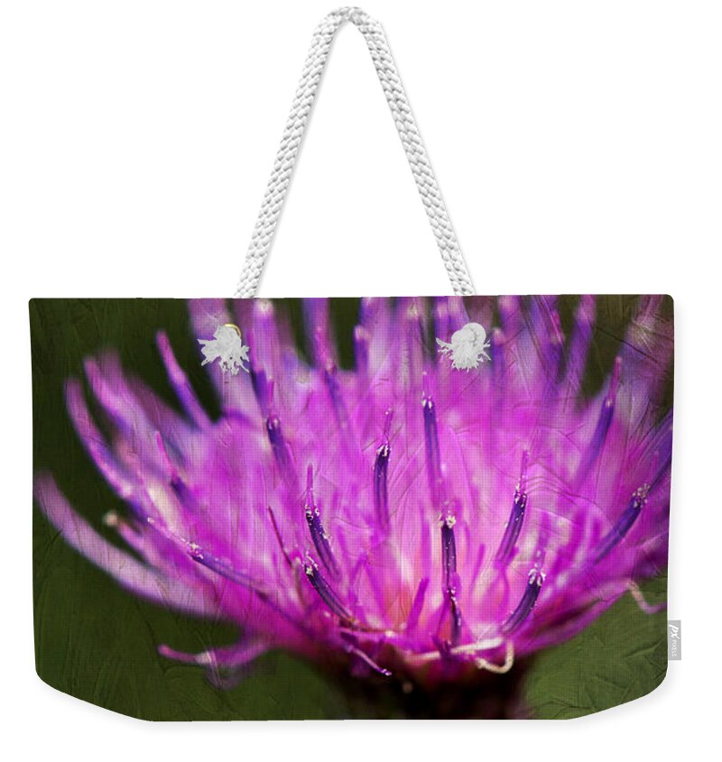 Purple Thistle Plant Print Weekender Tote Bag featuring the photograph Purple Thistle Plant Print by Gwen Gibson