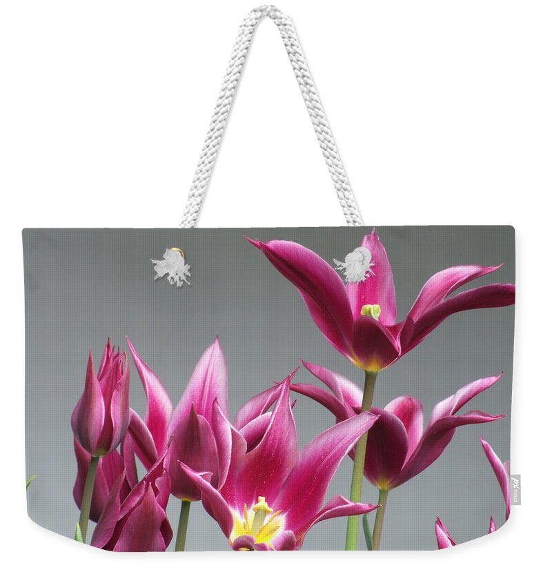 Tulips Weekender Tote Bag featuring the photograph Purple Tulips by Helen Jackson