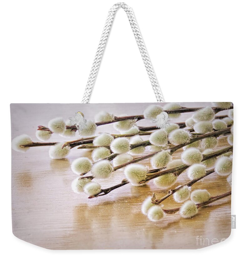 Pussy Willows Weekender Tote Bag featuring the photograph Pussy Willows by Janice Drew