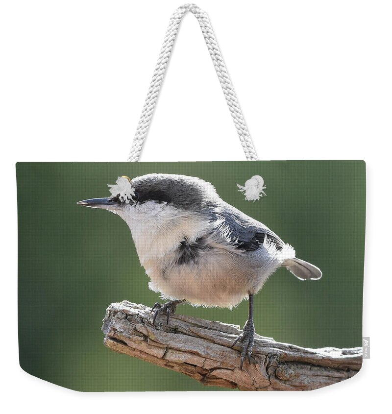 Nuthatch Weekender Tote Bag featuring the photograph Pygmy Nuthatch by Ben Foster
