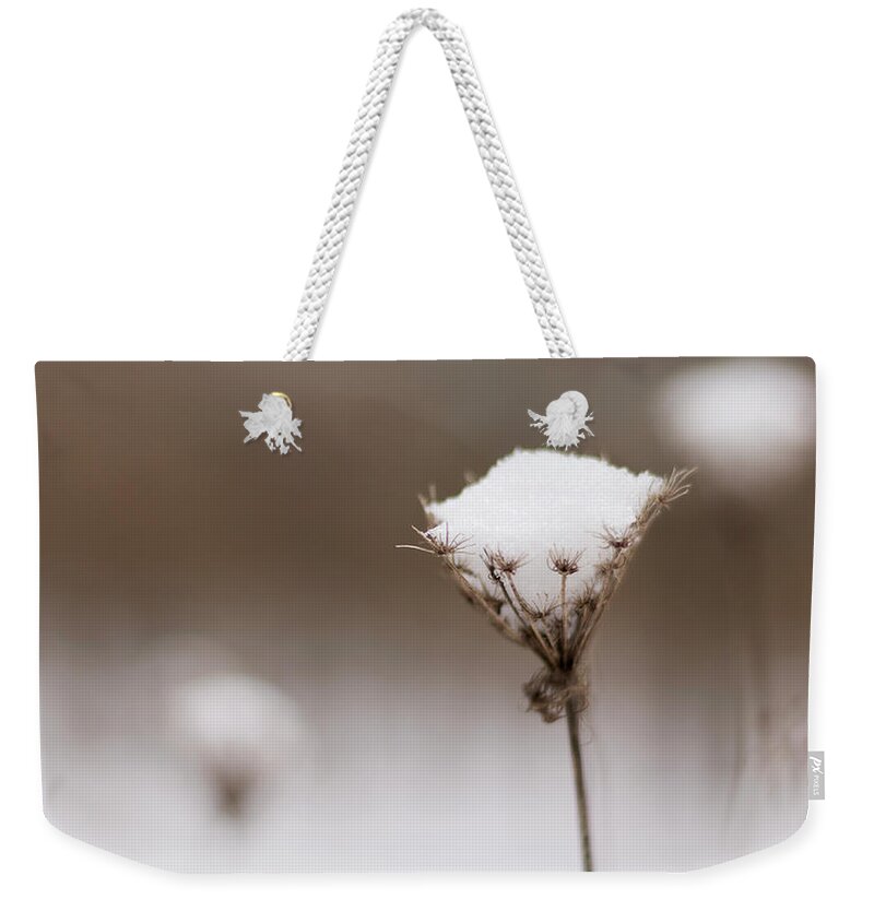 Wildflower Weekender Tote Bag featuring the photograph Queen Anne in the Snow by Holly Ross