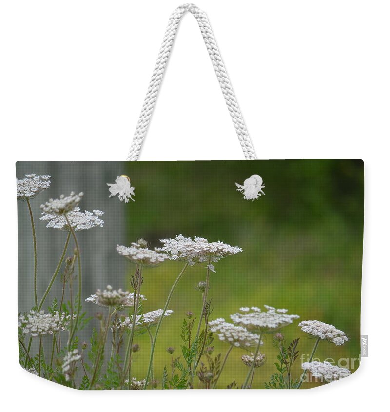 Queen Anne Lace Wildflowers Weekender Tote Bag featuring the photograph Queen Anne Lace Wildflowers by Maria Urso