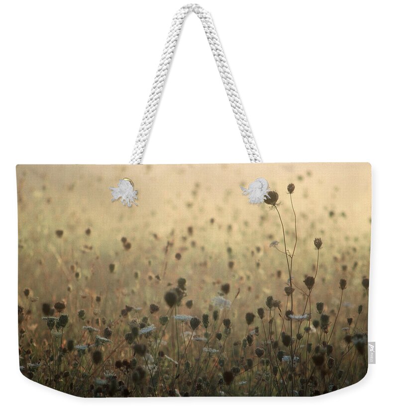 Queen Anne's Lace Weekender Tote Bag featuring the photograph Queen Anne's Court by DArcy Evans
