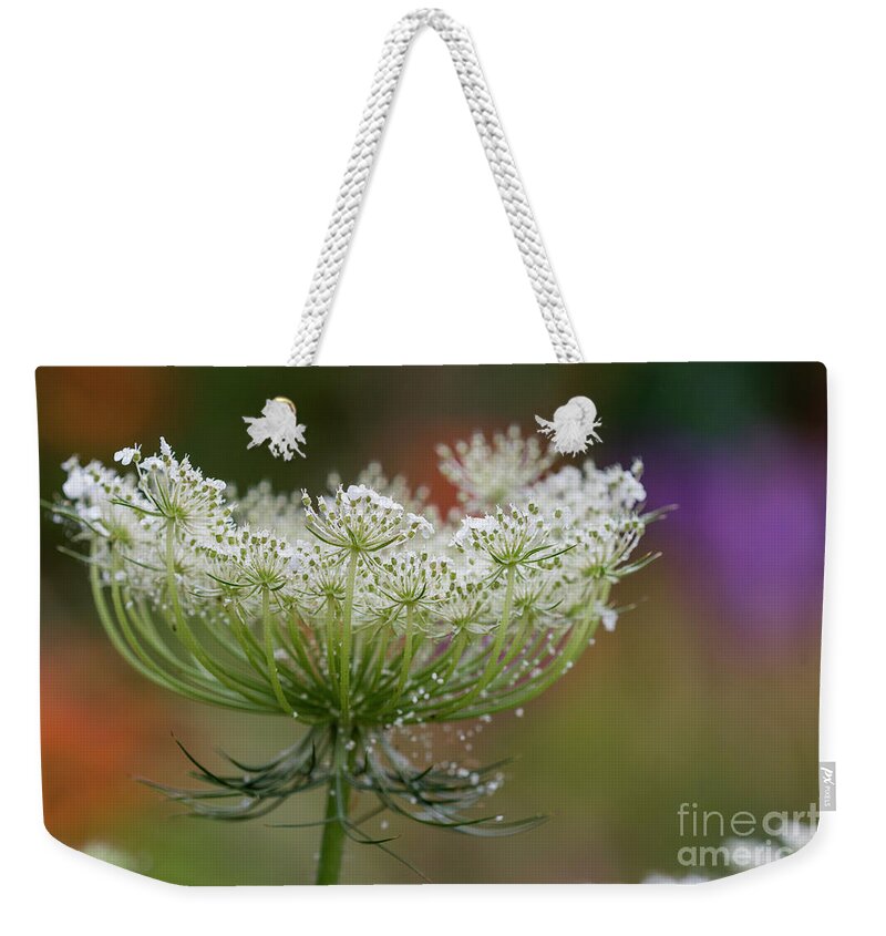 Astoria Weekender Tote Bag featuring the photograph Queen Anne's Lace by Robert Potts