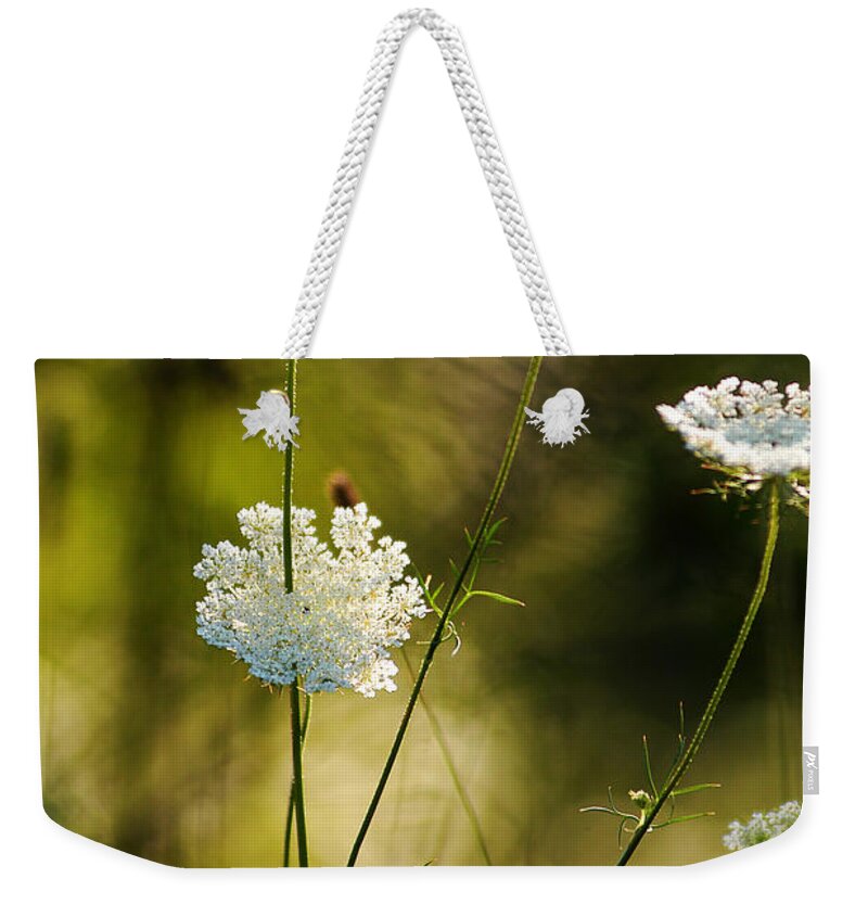 Wildflowers Weekender Tote Bag featuring the photograph Queen Annes Waving by Linda McRae