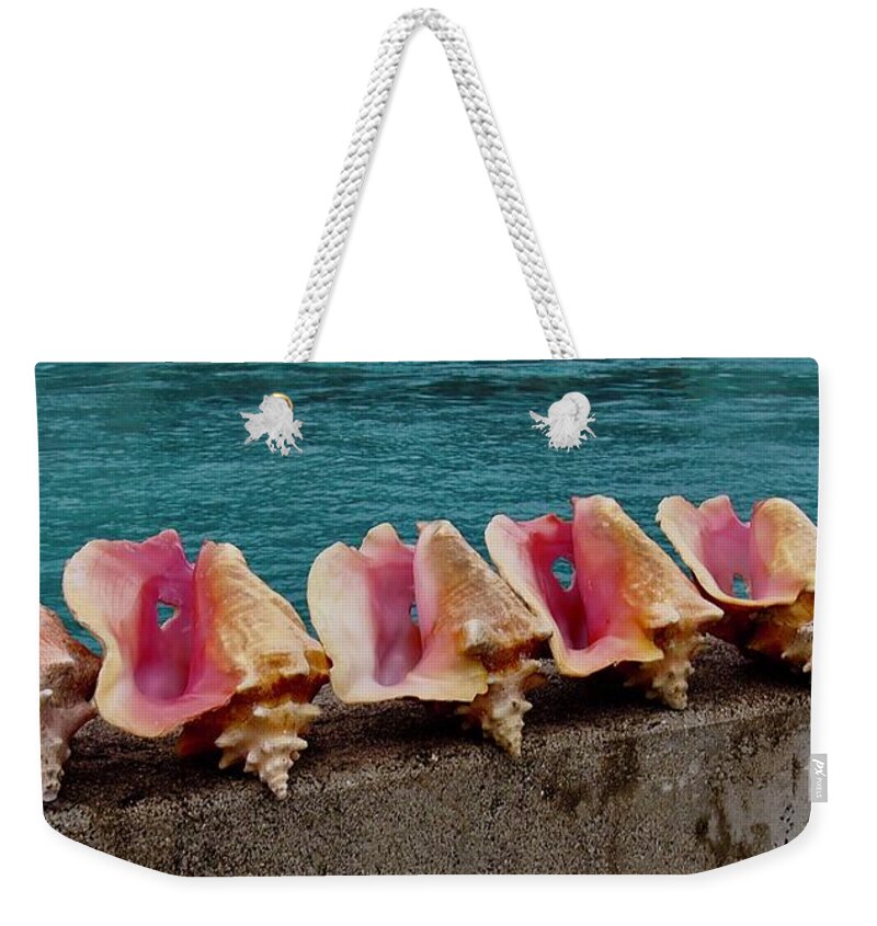 Shell Weekender Tote Bag featuring the photograph Queen Conch by Joseph Mora
