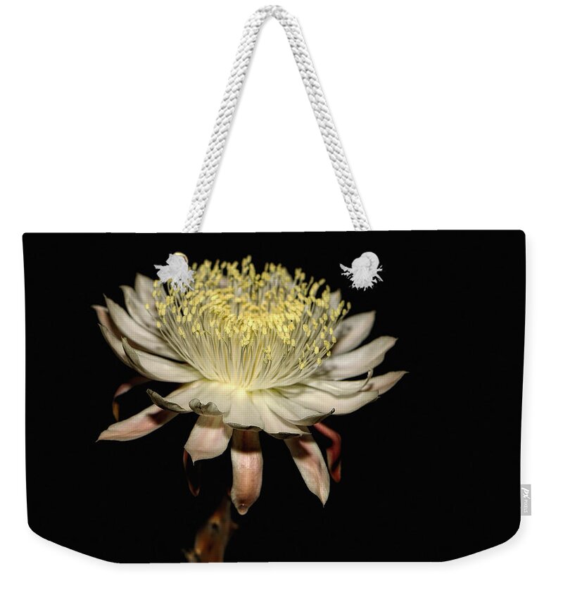 Flowers Weekender Tote Bag featuring the photograph Queen Of The Night by Elaine Malott