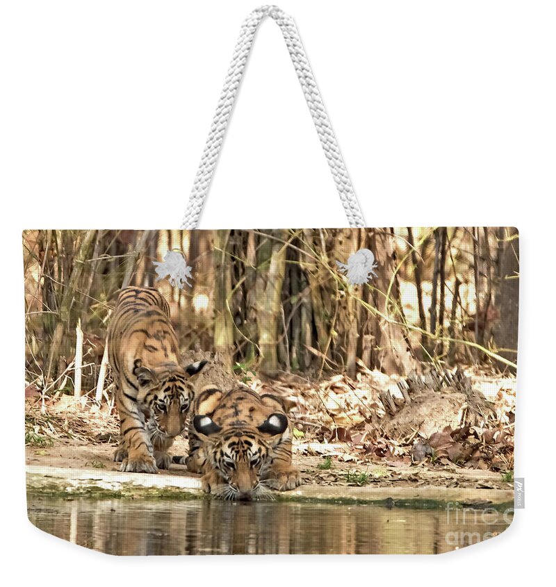 Tiger Weekender Tote Bag featuring the photograph Quenching Thirst by Pravine Chester