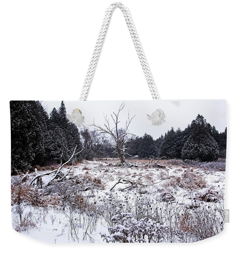 Winter Weekender Tote Bag featuring the photograph Quiet Winter by Debbie Oppermann