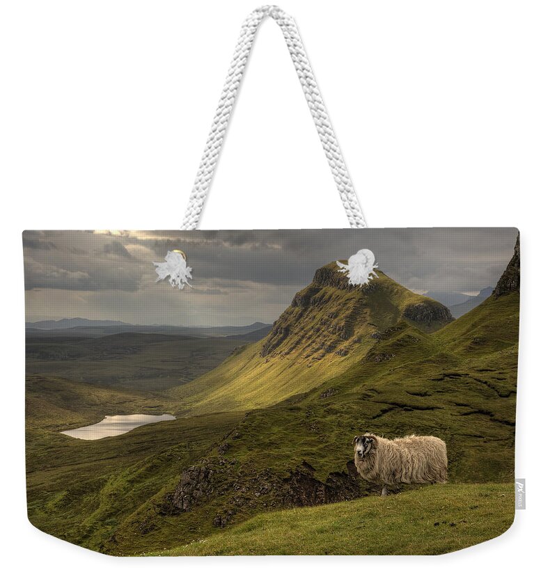 Quiraing Weekender Tote Bag featuring the photograph Quiraing Sheep by Wade Aiken