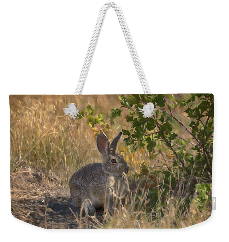 Rabbit Weekender Tote Bag featuring the photograph Rabbit on the Prairie by Susan Rissi Tregoning