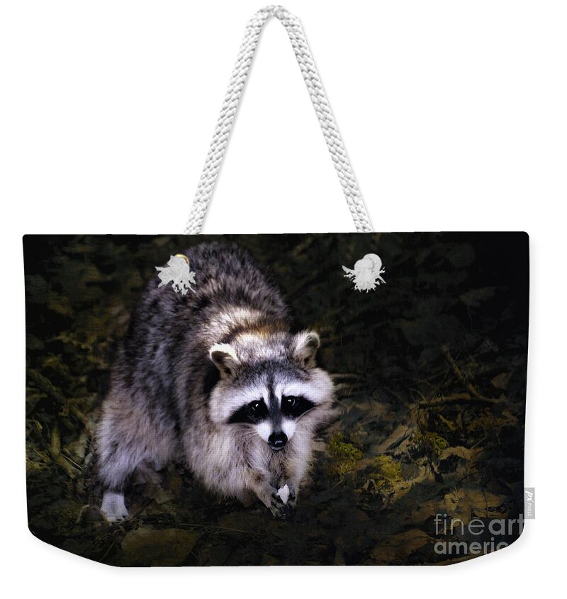 Animals Weekender Tote Bag featuring the photograph Raccoon by Elaine Manley
