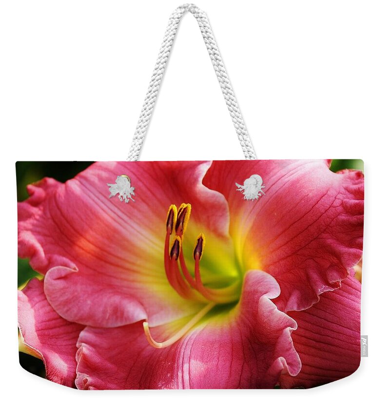 Flora Weekender Tote Bag featuring the photograph Radiant Pink Daylily by Bruce Bley