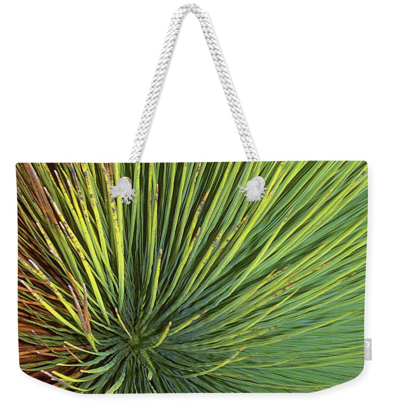 Radiate Weekender Tote Bag featuring the photograph Radiating by Ted Keller