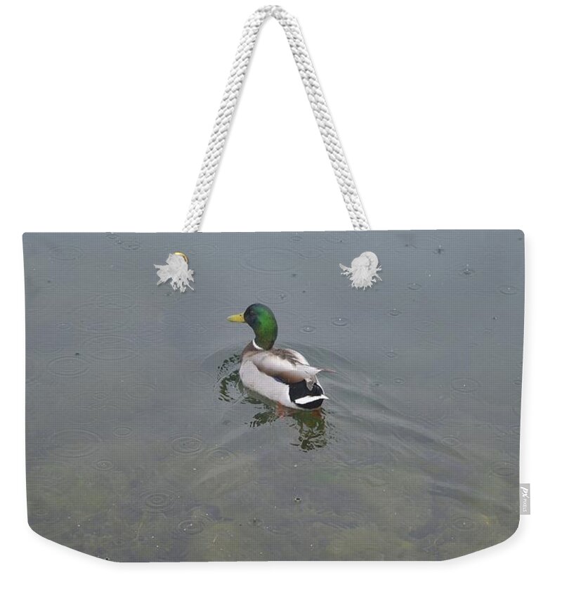 Abstract Weekender Tote Bag featuring the digital art Rain Drops And A Duck 2 by Lyle Crump