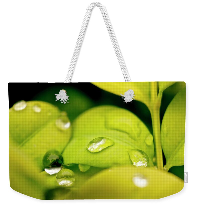 Garden Weekender Tote Bag featuring the photograph Rain drops. by Elena Perelman