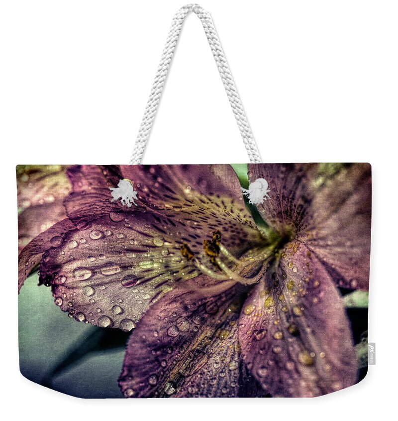Pink Weekender Tote Bag featuring the photograph Rain drops on Lily by Lilia D