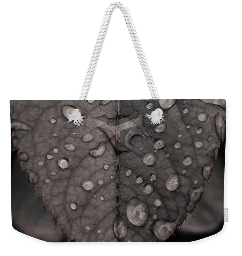 Rain Drops Weekender Tote Bag featuring the photograph Rain Drops on Rose Leaf by Alexis King-Glandon