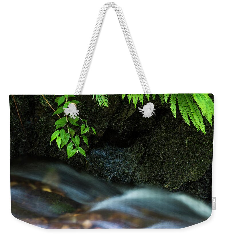 Cannon Beach Weekender Tote Bag featuring the photograph Rain Forest Stream by Robert Potts