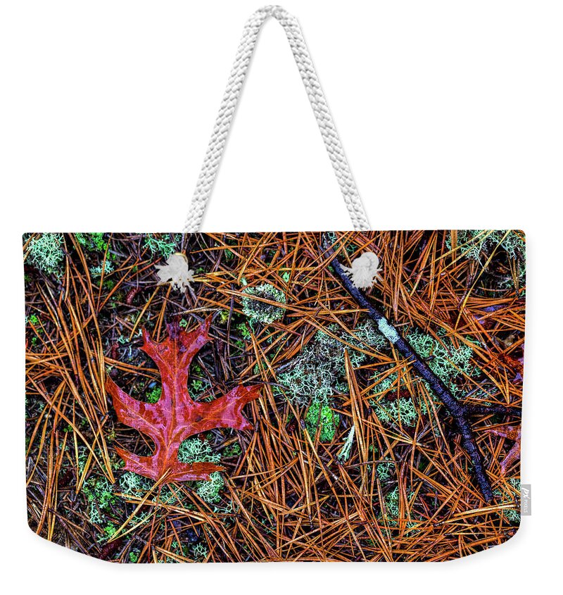 Oak Leaves Weekender Tote Bag featuring the photograph Rain Study#14 Pine Barrens by Steve Gravano