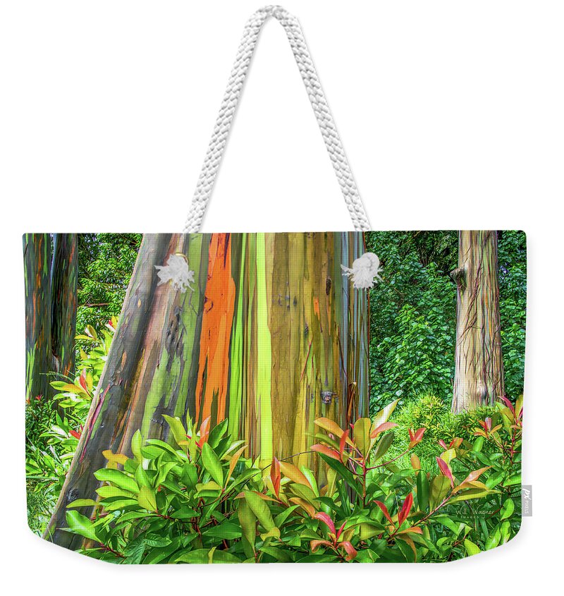Eucalyptus Weekender Tote Bag featuring the photograph Rainbow Eucalyptus 3 by Will Wagner