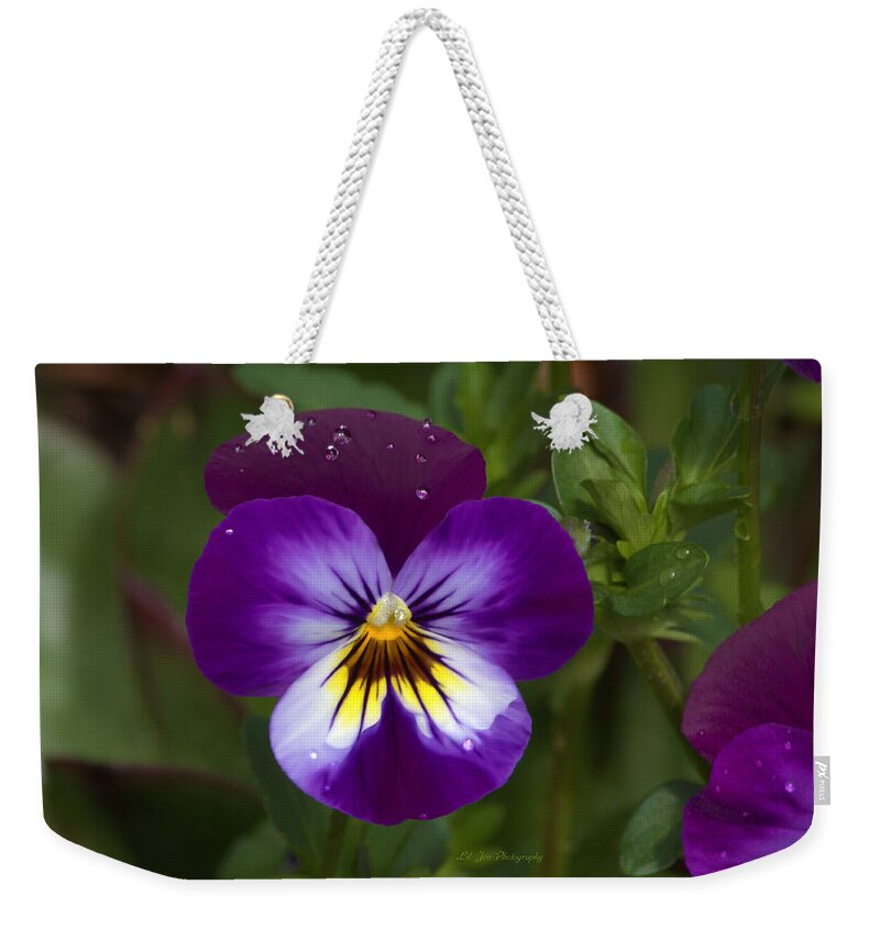 Pansy Weekender Tote Bag featuring the photograph Raindrops On Pansies by Jeanette C Landstrom