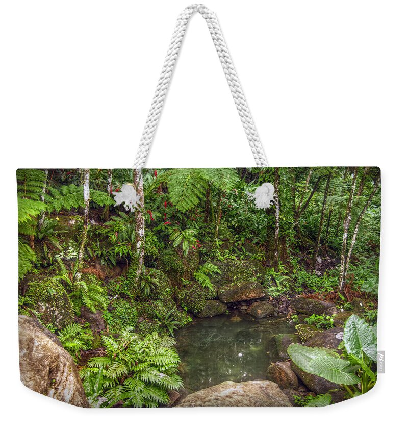 Rainforest Weekender Tote Bag featuring the photograph Rainforest Paradise by Hanny Heim