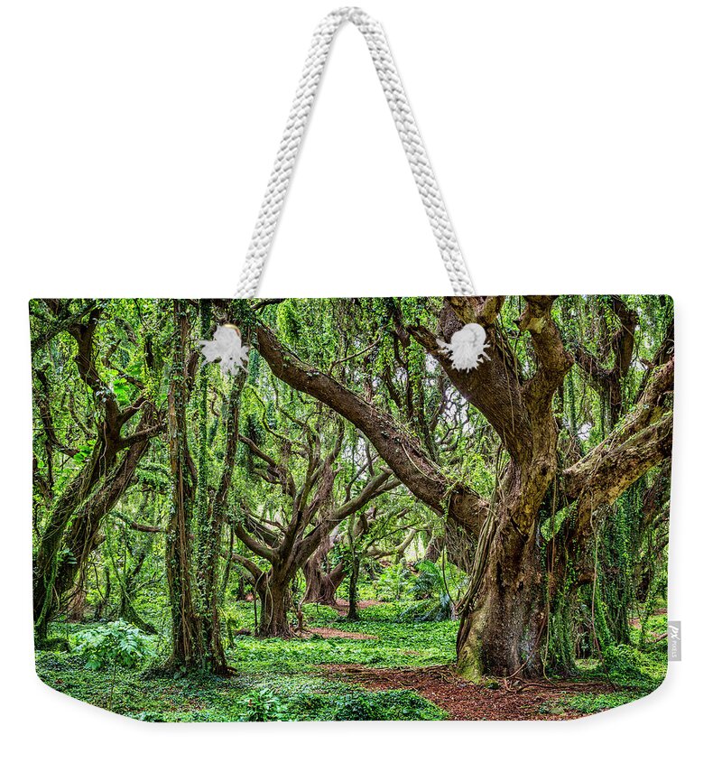 Rainforest Weekender Tote Bag featuring the photograph Rainforest Trees by Kelley King