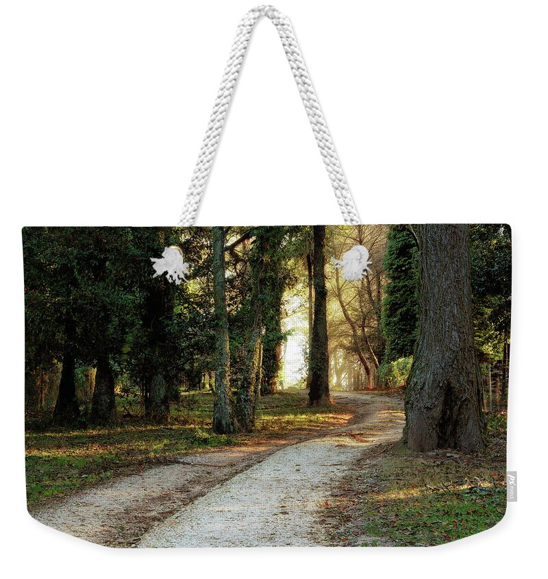 Ramble Weekender Tote Bag featuring the photograph Rambling by Nicholas Blackwell