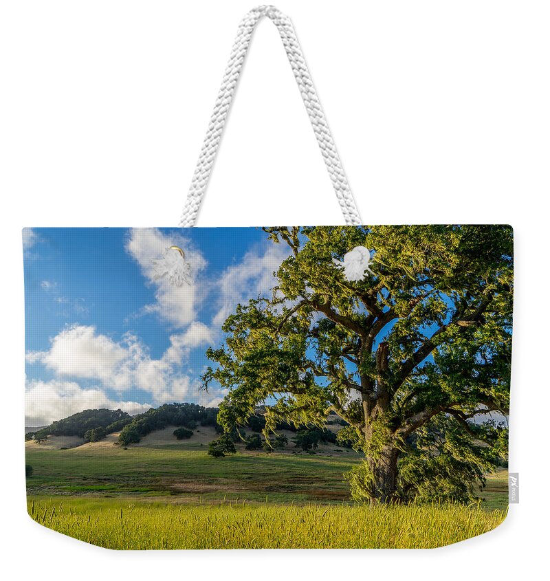 Ranch Weekender Tote Bag featuring the photograph Rancho Deluxe by Derek Dean