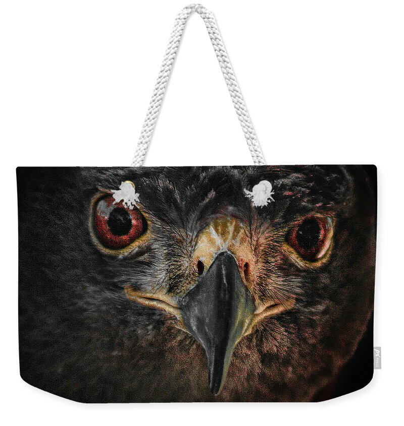 Bird Weekender Tote Bag featuring the photograph Rapt Raptor by Jim Painter