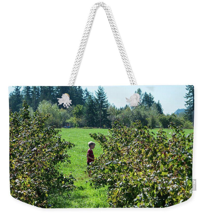 Raspberry Inspector Weekender Tote Bag featuring the photograph Raspberry Inspector by Tom Cochran