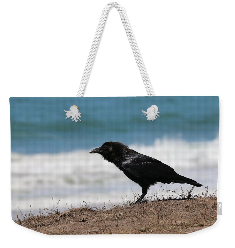 Wild Weekender Tote Bag featuring the photograph Raven at the Ocean by Christy Pooschke