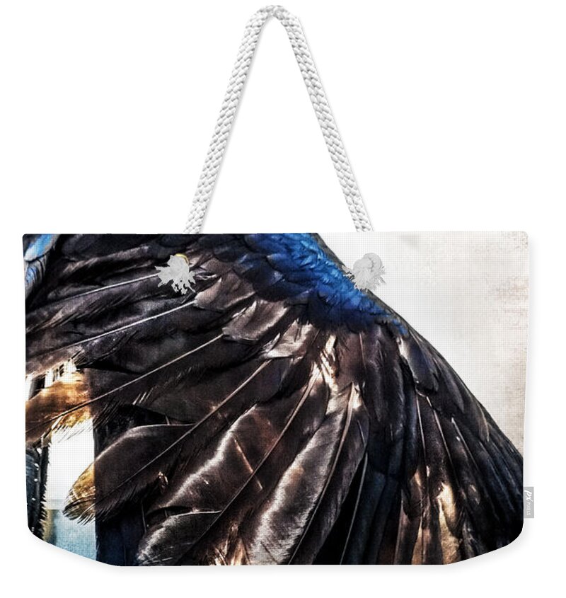 Grackle Weekender Tote Bag featuring the photograph Raven Attitude by Carolyn Marshall