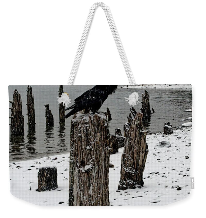 Raven Weekender Tote Bag featuring the photograph Raven Call by Cathy Mahnke