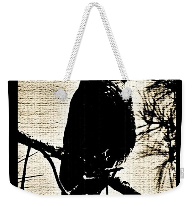 Raven Weekender Tote Bag featuring the photograph Raven on the lookout by Harold Zimmer