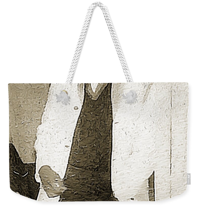  Weekender Tote Bag featuring the digital art Ray Zor Sharp by Joe Paradis