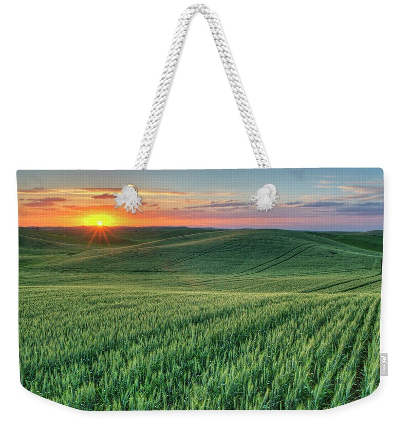 Outdoors Weekender Tote Bag featuring the photograph Rays on Wheat by Doug Davidson