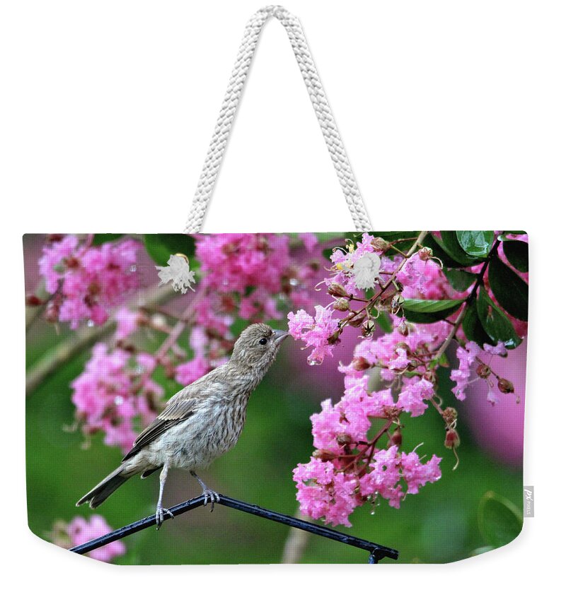 Birds Weekender Tote Bag featuring the photograph Reach For It by Trina Ansel