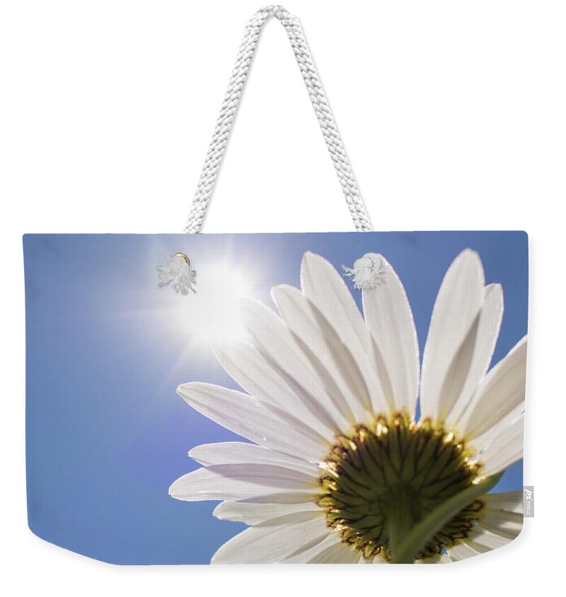 Daisy Weekender Tote Bag featuring the photograph Reach by Holly Ross