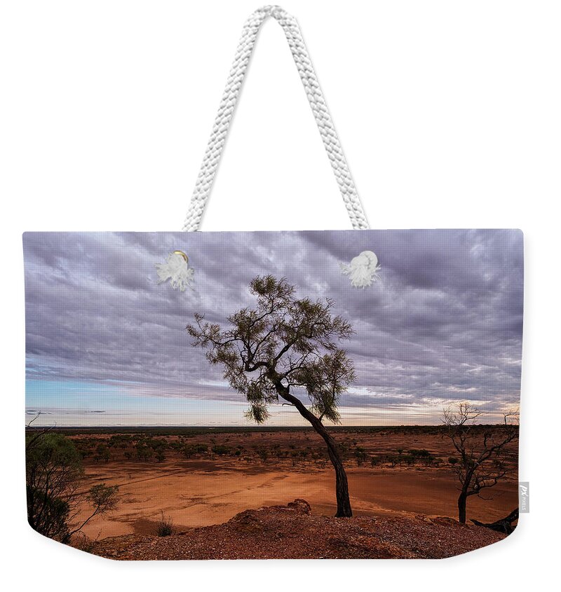 Tree Weekender Tote Bag featuring the photograph Reach to the Sky by Catherine Reading