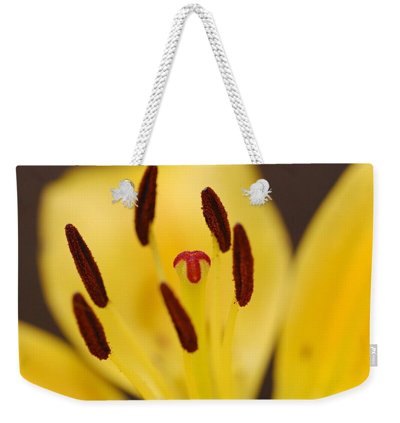 Flower Weekender Tote Bag featuring the photograph Reaching by Amy Fose