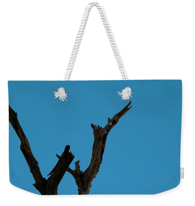 Circle B Bar Reserve Weekender Tote Bag featuring the photograph Reaching for the sky by Christopher Mercer