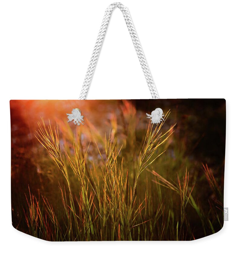 Grass Weekender Tote Bag featuring the photograph Reaching for the Sunset Dark by Mary Jo Allen