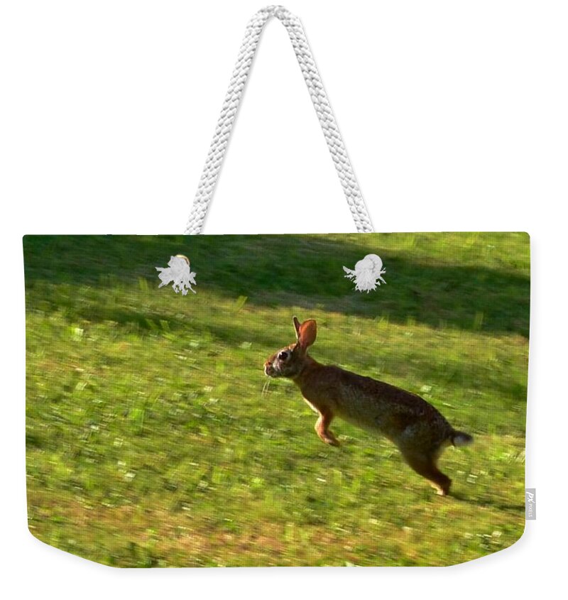 Rabbits Weekender Tote Bag featuring the photograph Ready for Take-off by Eileen Brymer