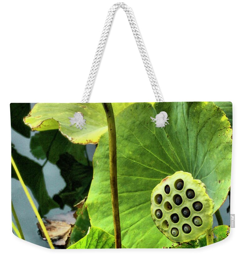 Ed Weekender Tote Bag featuring the photograph Ready to Burst by Cate Franklyn