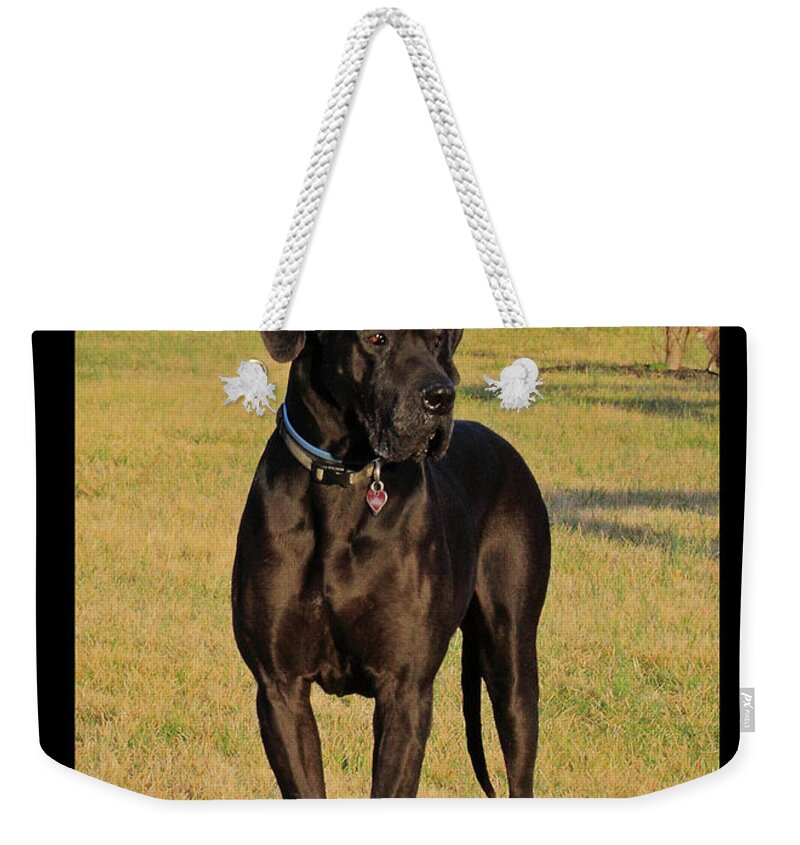 Great Dane Weekender Tote Bag featuring the photograph 'Really Big Bigg of Crescent Farm' by PJQandFriends Photography