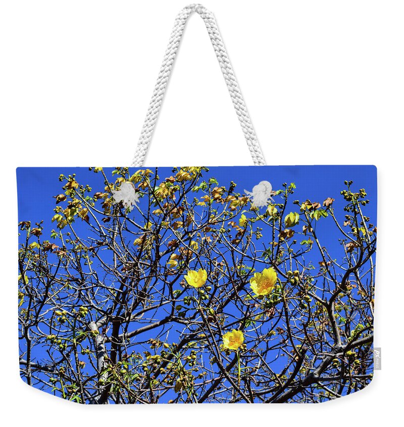 Flower Weekender Tote Bag featuring the photograph Rebirth by Nicole Lloyd